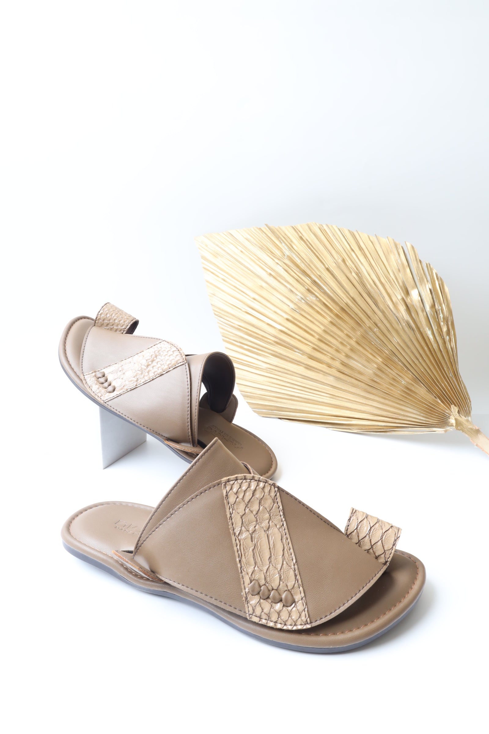 شرقي ايطالي 55558